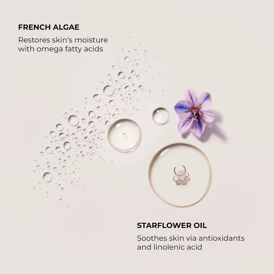 Laura Mercier Cozy Retreat Ambre Vanille Collection 6