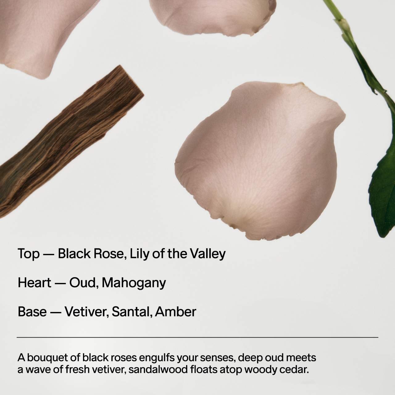 Salt&Stone Black Rose & Oud Hand Cream крем для рук, 60 мл 8