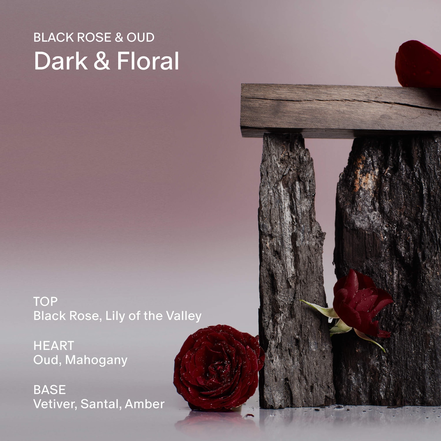 Salt&Stone  Black Rose&Oud Deodorant, Стойкий дезодорант без солей аллюминия, 75г 2