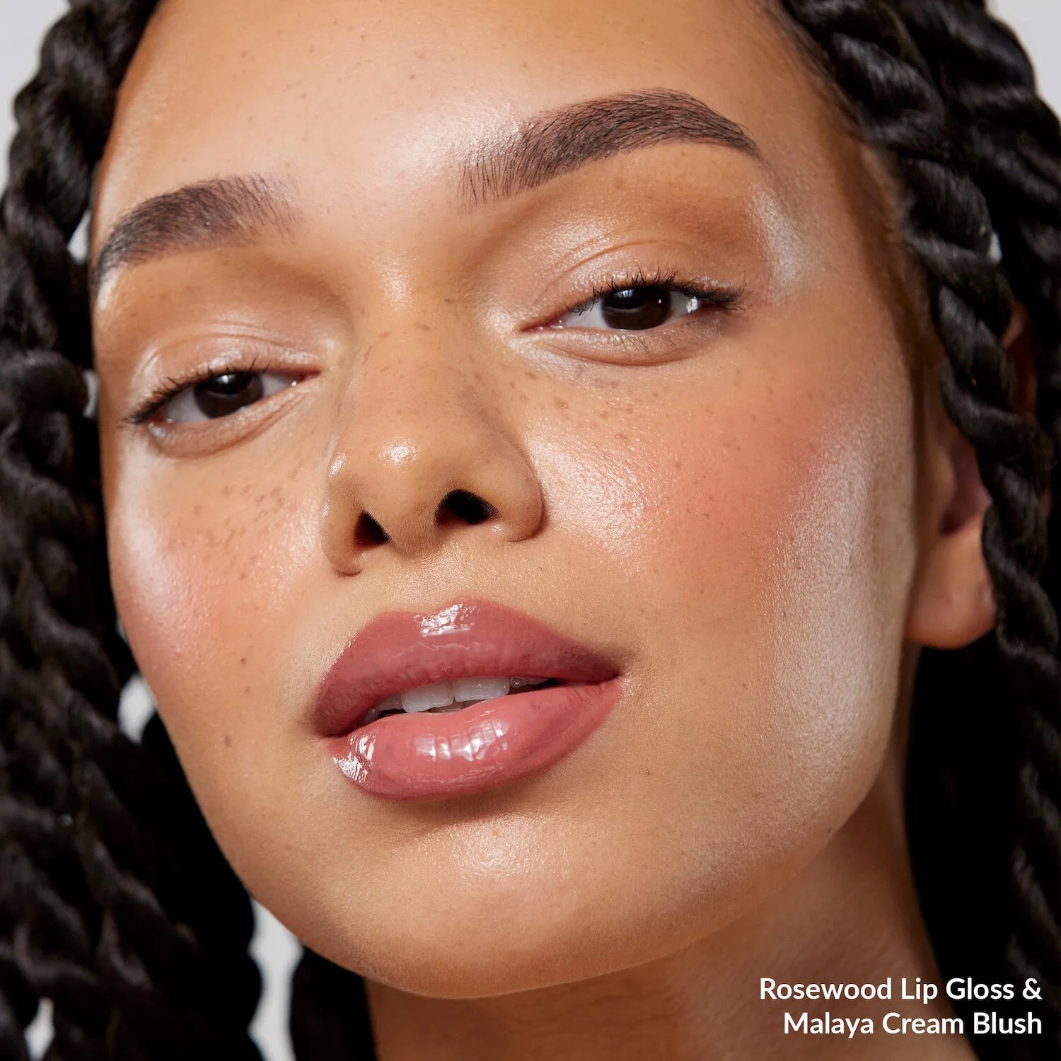 REFY Набор для макияжа губ и щек Lip Gloss and Cheek Duo Set 5